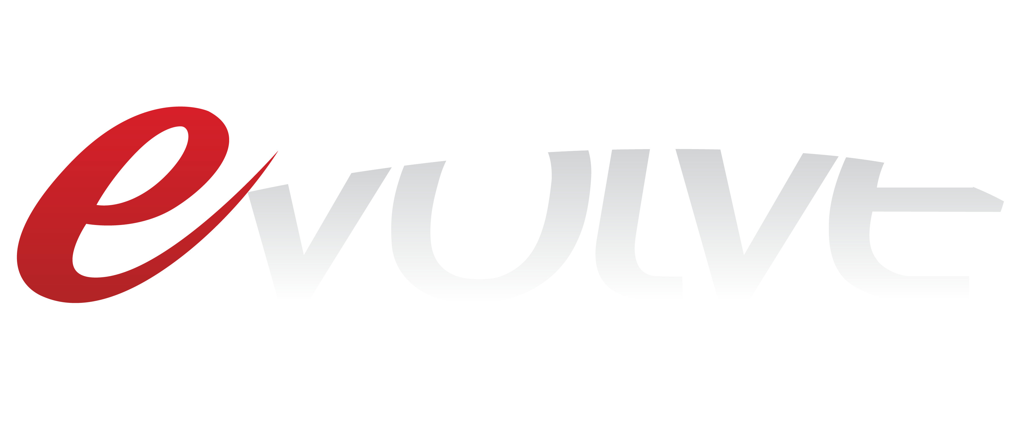 eVOLVE Data Center Solutions